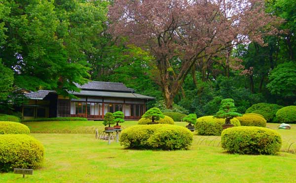 Japanese Garden